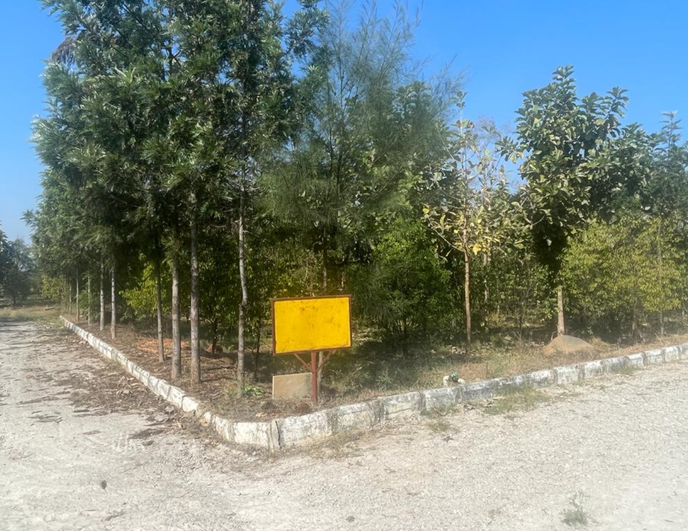 Green Oasis Villas